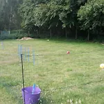 Retro Nr 5 Ferienhaus