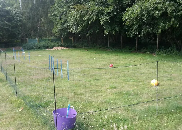 Retro Nr 5 Vakantiehuis